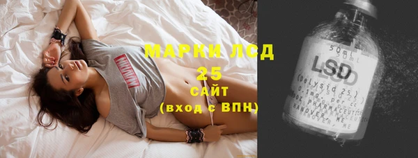 прущие грибы Кулебаки