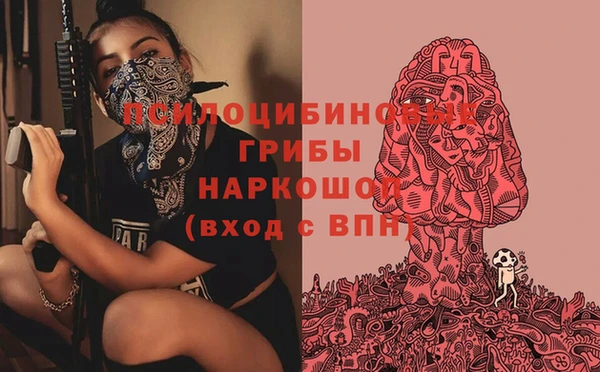 прущие грибы Кулебаки
