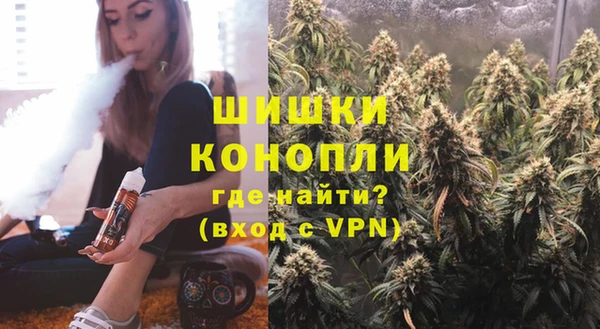 мдпв Ладушкин