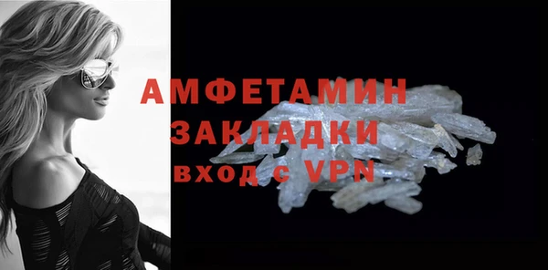 прущие грибы Кулебаки