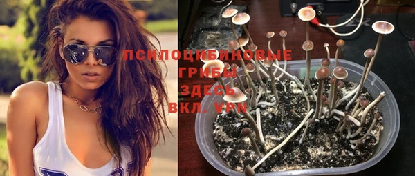 прущие грибы Кулебаки
