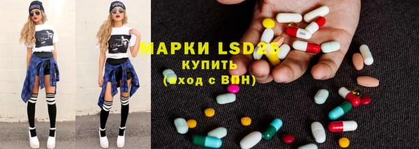 прущие грибы Кулебаки
