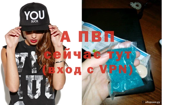 прущие грибы Кулебаки