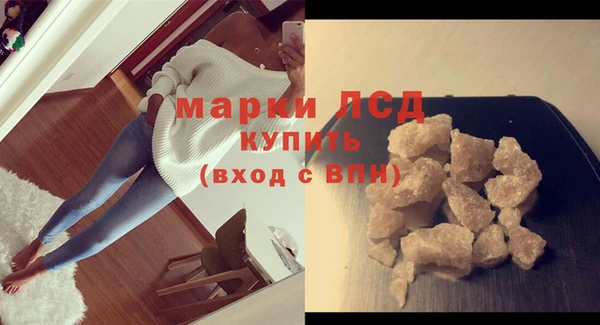 прущие грибы Кулебаки
